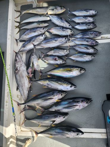 Loaded on the Gud Vibes!