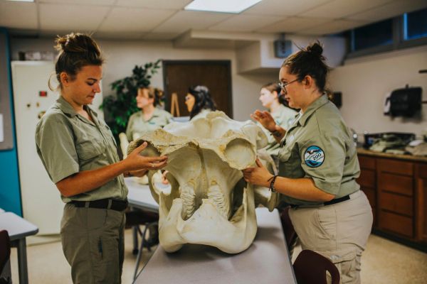 Two women in uniforms examine a large skull in a classroom setting.