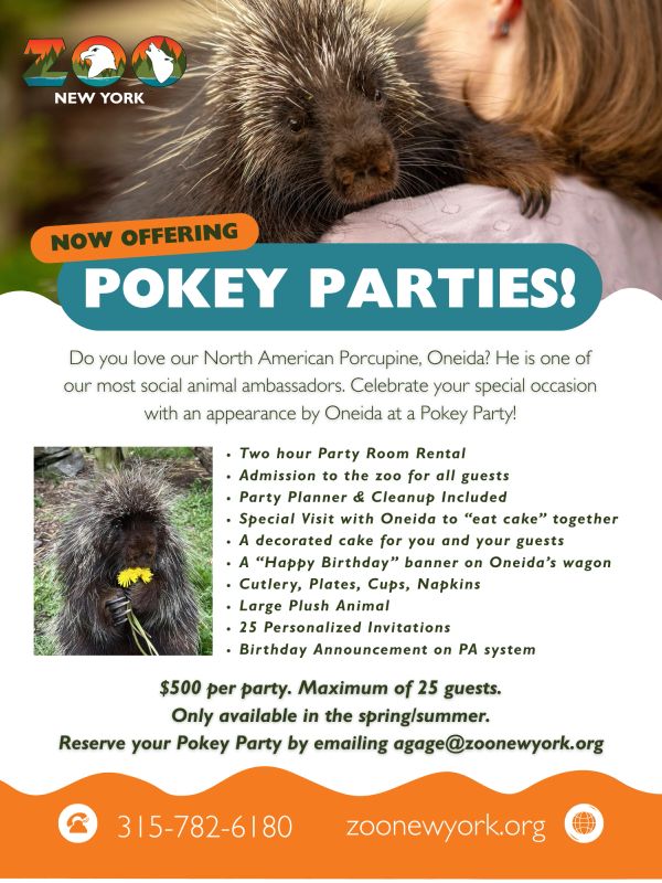 Zoo New York offers Pokey Parties with porcupine Oneida for special occasions.