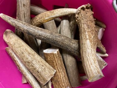 antlers dog chews