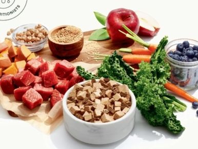 top nutrition pawTree food holistic product