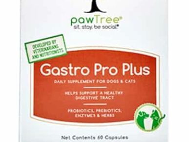 gastro pro plus by pawtree probiotic prebiotic