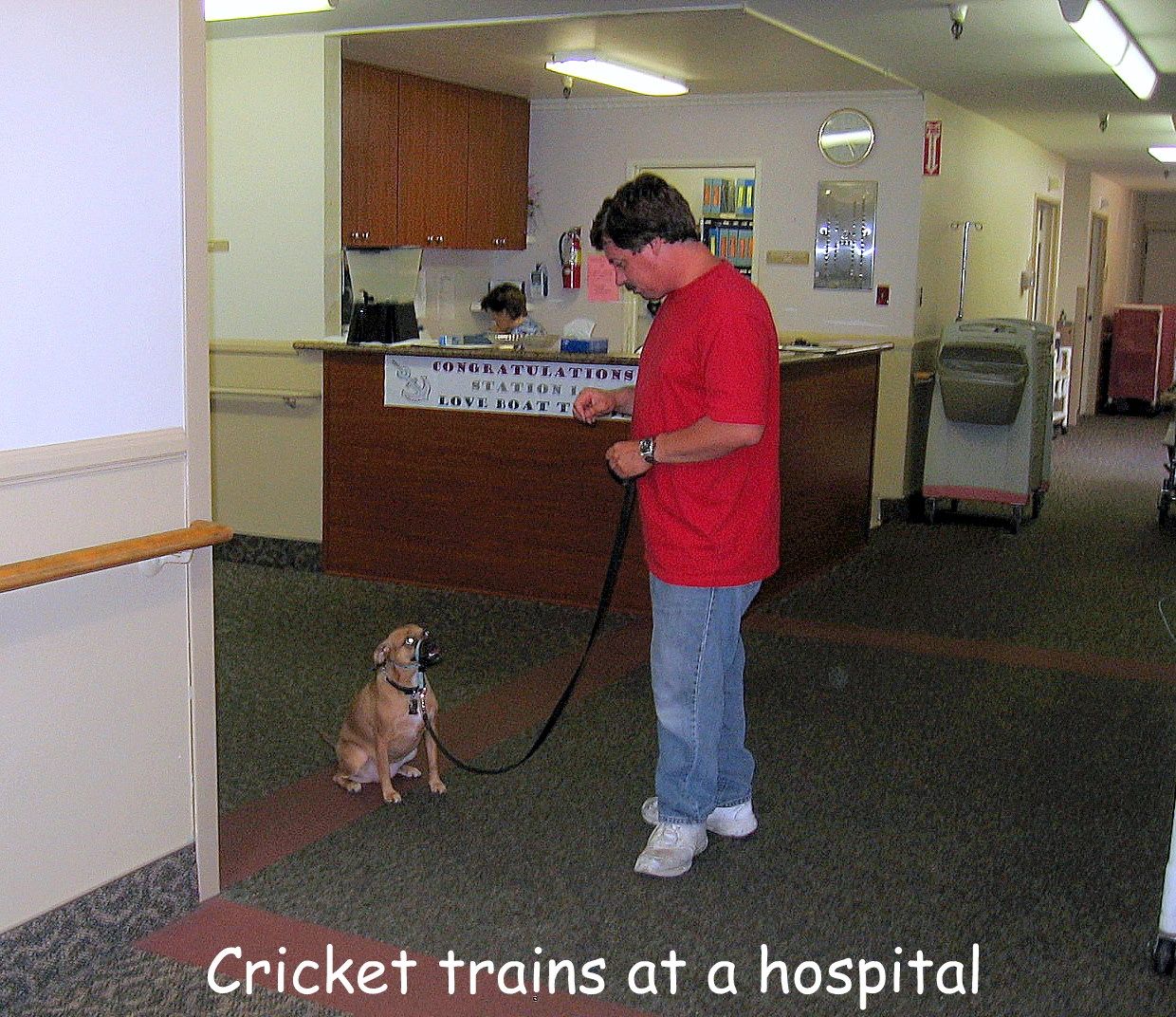 Cricket learns the ropes