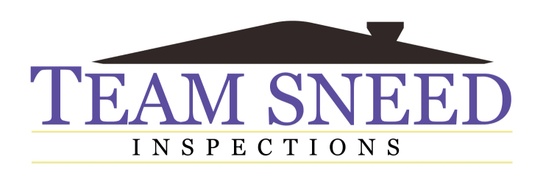 Teamsneed Inspections