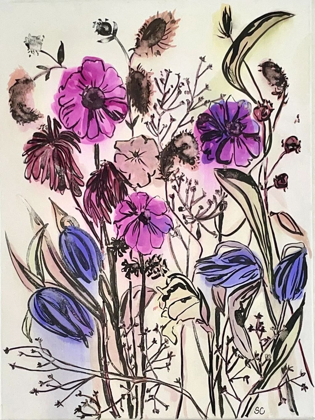 Poppy, Buddelia, Iron Weed, Asclepia 
with Ink
watercolor, graphite and ink on canvas
18" x 24"
Cont