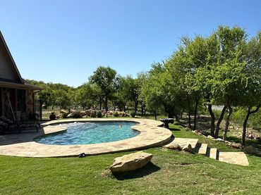 Sunlit backyard with a kidney-shaped pool and lush greenery.