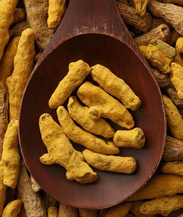 Dried turmeric roots on a wooden spoon and surface.