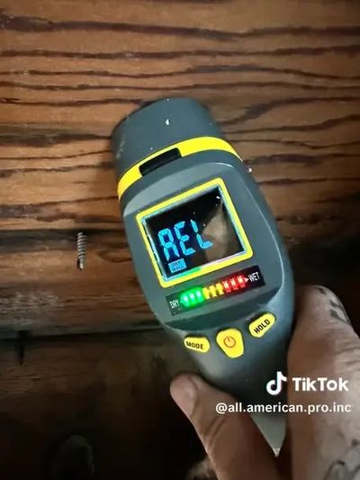 Wood rot Sacramento