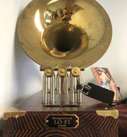 badgerland lo-fi, one of a kind acoustic speaker