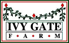 Ivy Gate Farm