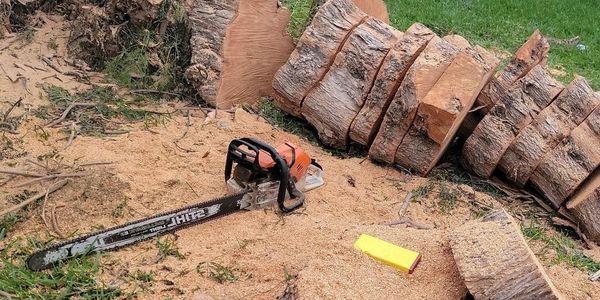 Tree Service
Tree Removal
Chipping and hauling