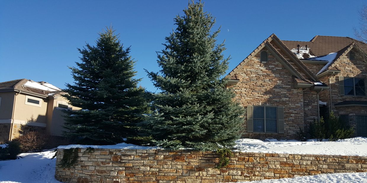 Front yard natural stone retaining wall installation in Castle Rock, Parker, and surrounding areas,