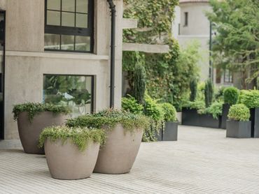 Large natural-toned planters with lush greenery beside an urban facade.