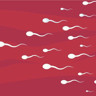 Unani treatments for male sex weakness