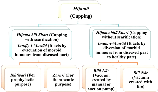 type of hijama (cupping) image
glass, bamboo, or plastic jars