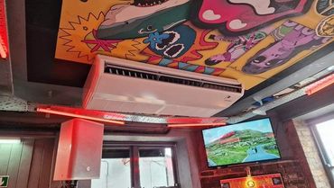 Dog and parrot newcastle