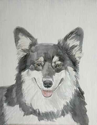 Watercolor painting of a black and white corgi dog