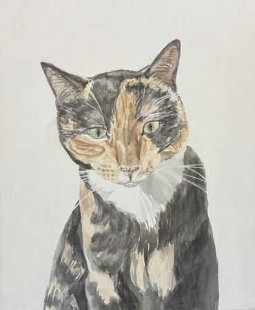 watercolor painting of a cat
