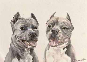 Two American Terriers