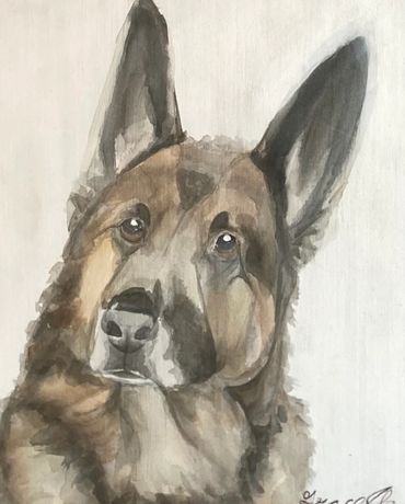 Watercolor painting of a German Shepard dog