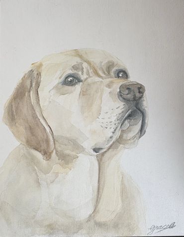 Watercolor painting of a yellow lab dog