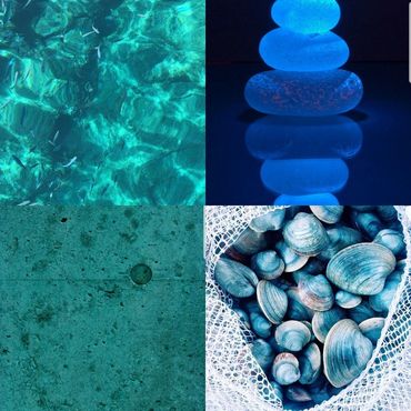 Collage of underwater scenes, blue glowing stones, textured surface, and seashells in a net.