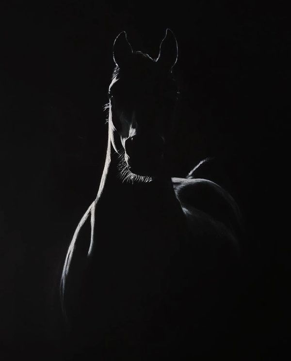 Dark Horse Portrait 