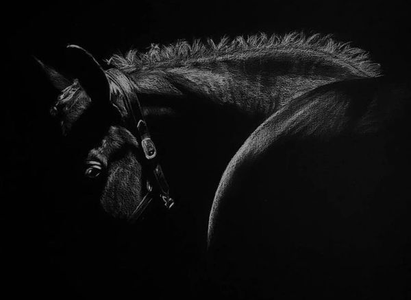 Dark Horse Portrait