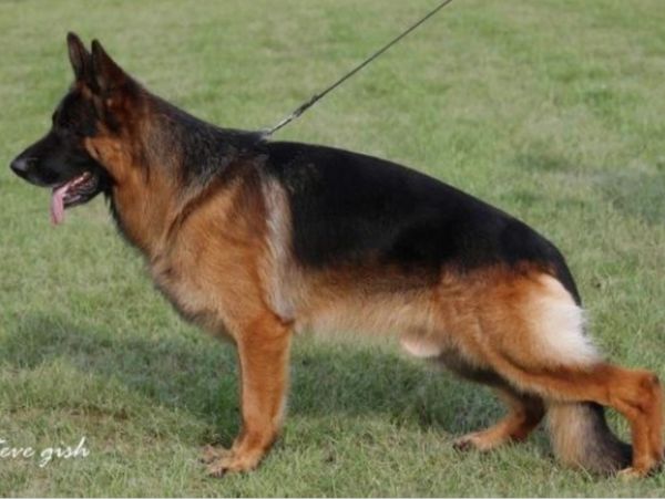 VA Fight Holtkamper Hof