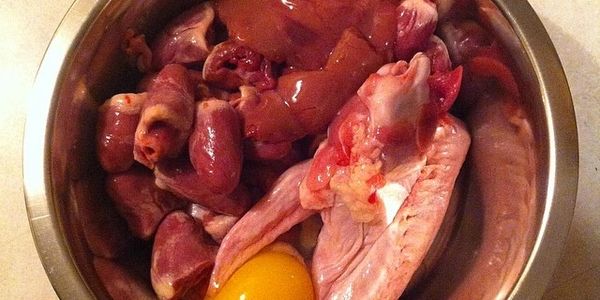 Dog are meant to eat fresh food as nature intended.