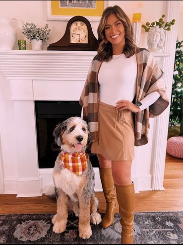 Bernadoodle meets owner to complete general obedience dog training.