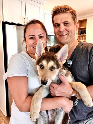 Dog training starts as soon as your dog or puppy comes home.