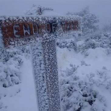 Enjoy the best customized one-way guided hikes in Red Rock Country with our Sedona Hiking Guides.