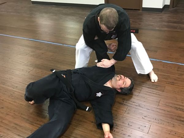 goju ryu karate bunkai punching