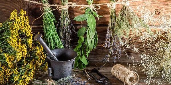 Plantes médicinales qui sèchent sur une corde