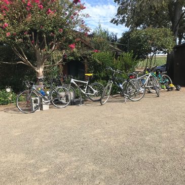 Bycicles arranged in the driveway.