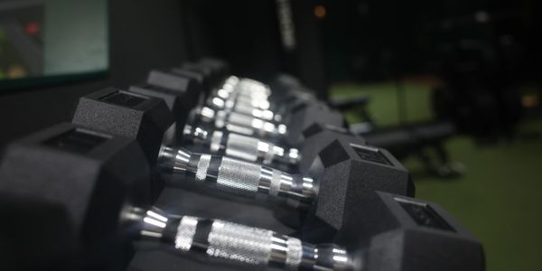 Row of hex dumbbells neatly arranged in a gym.