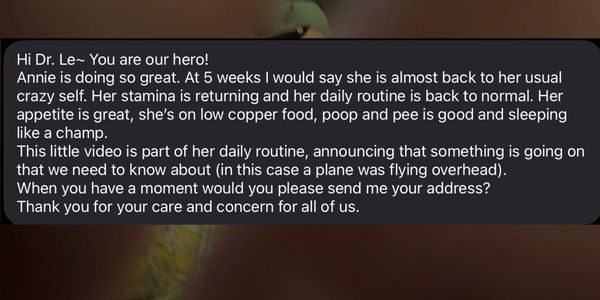 A message updating Dr. Le about Annie's health progress and routine.