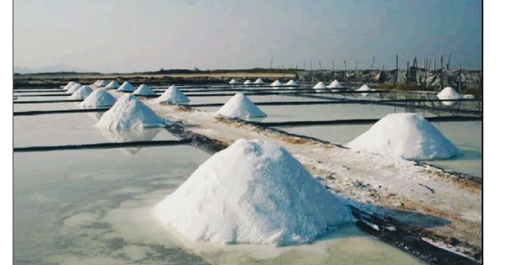 Salina en el Municipio de Cuyutlán, Colima. México