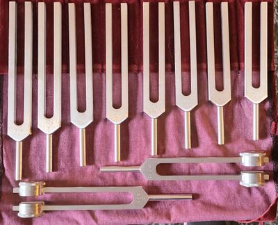 Sound therapy, tuning fork, vibration, energy balancing, tuning fork therapy