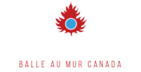 Canadian Handball Association