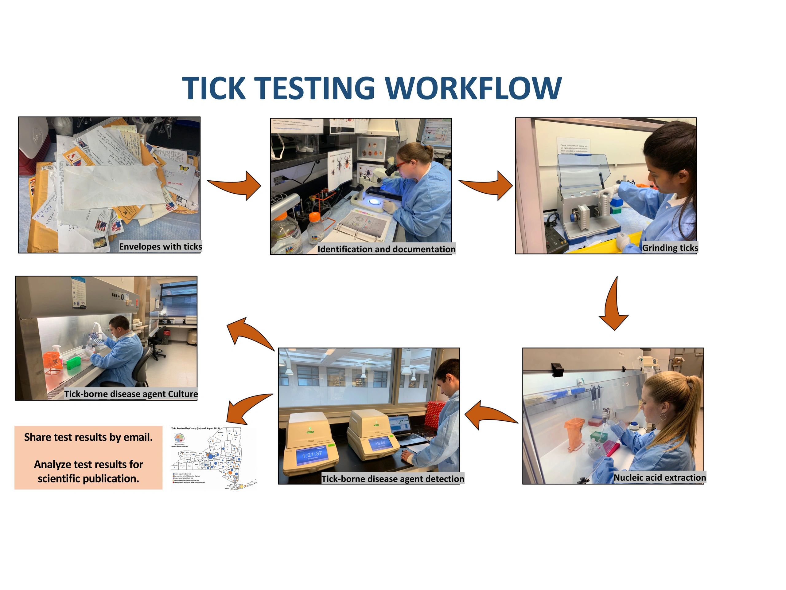 thangamani lab tick testing
