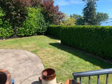 Finished landscaping