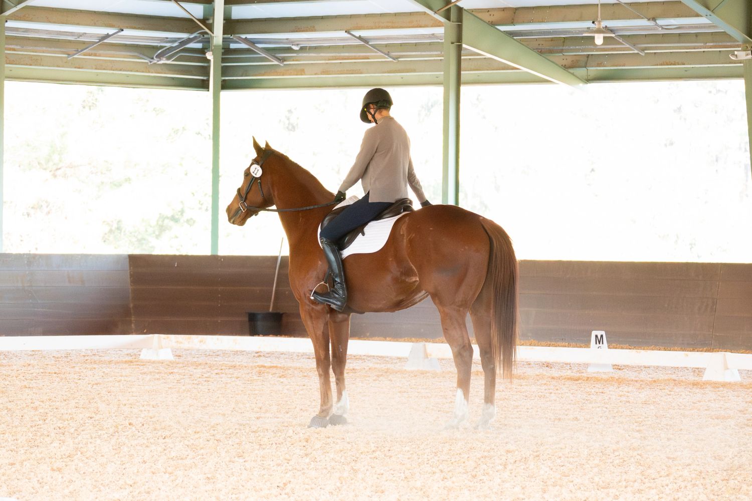 Savannah & her horse Winston during his first dressage test