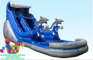 Dolphin Wave Waterslide Rentals