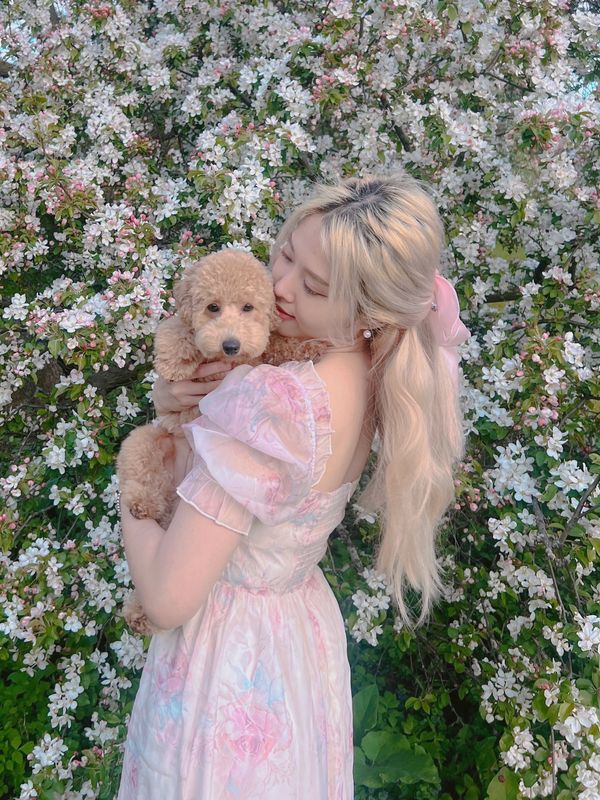 A woman in a pastel dress hugs a fluffy puppy near blooming white flowers.