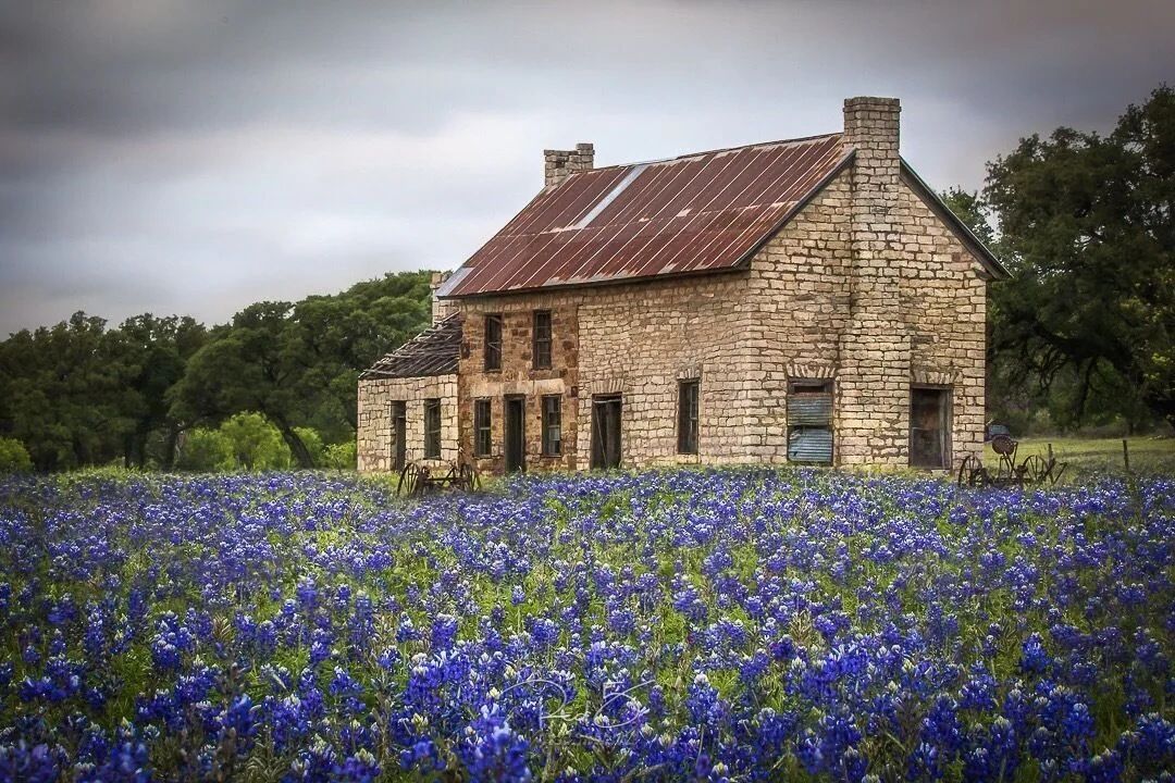 Old stone home with bluebonnets