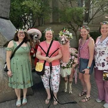 Five smiling women posing with two flower-adorned llamas outdoors.