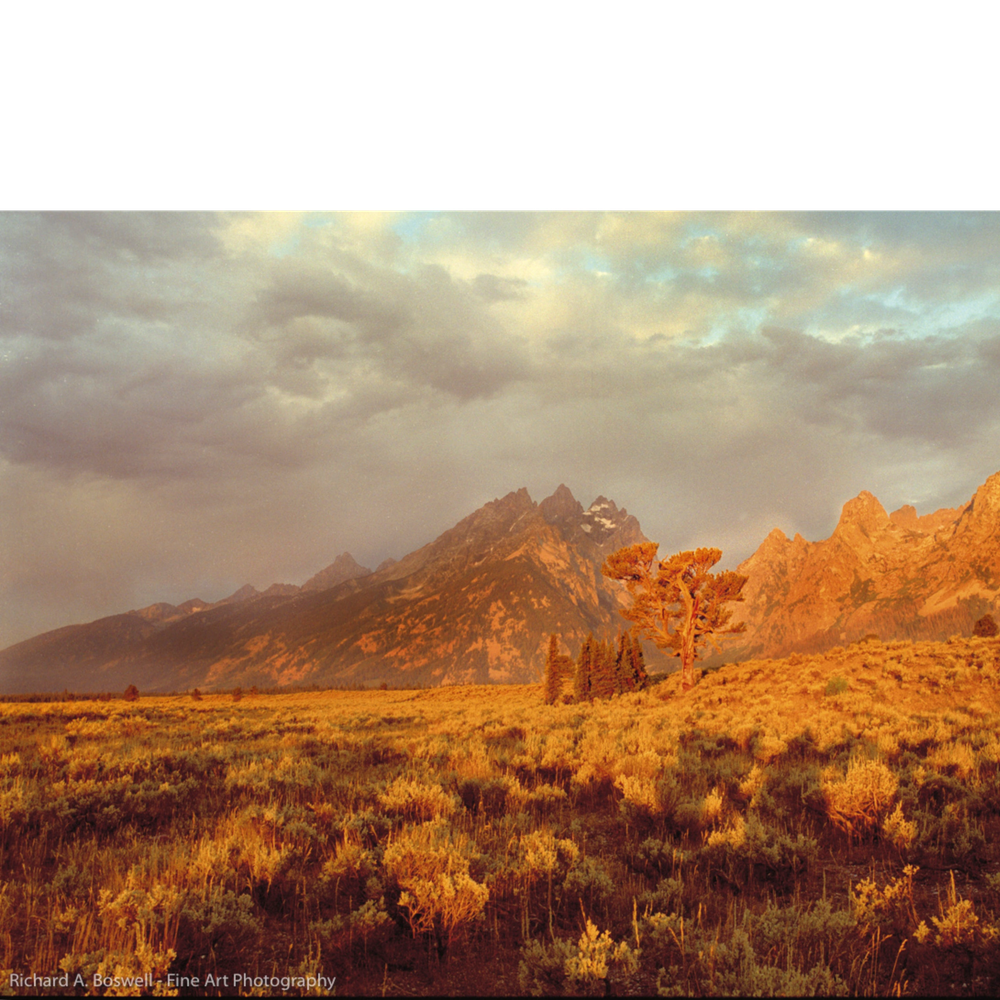 Sage Fire - Grand Tetons, WY