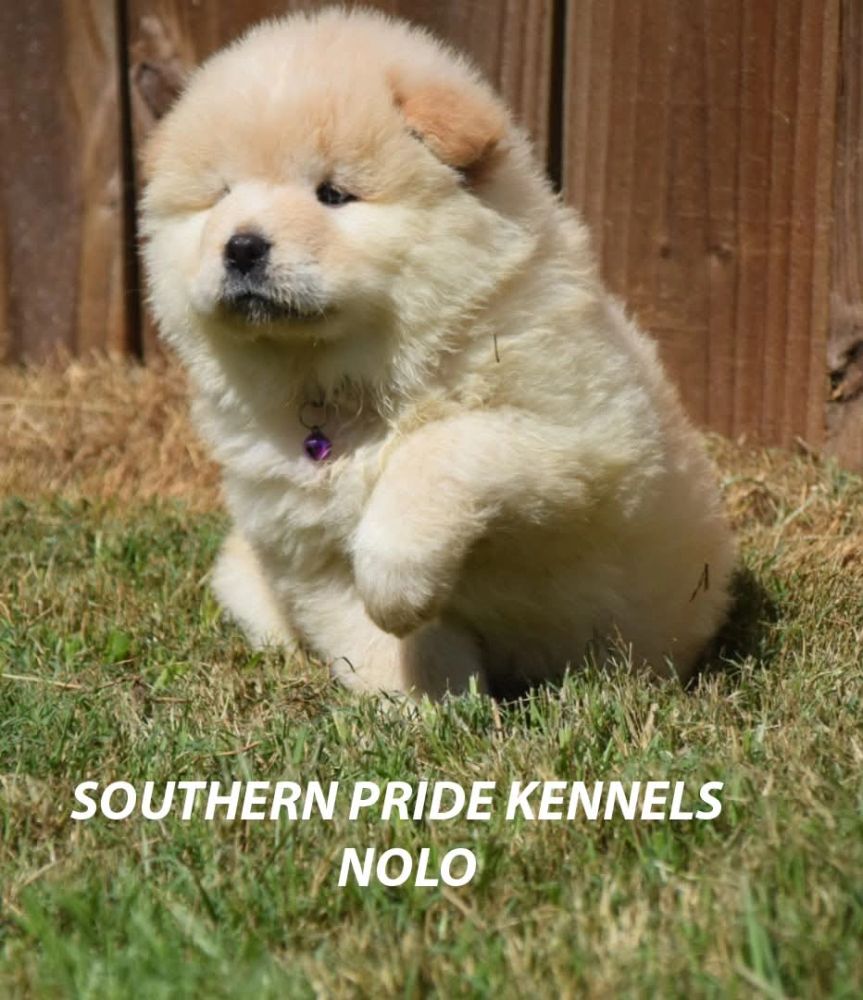 Our NoLo